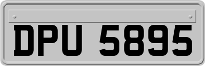 DPU5895