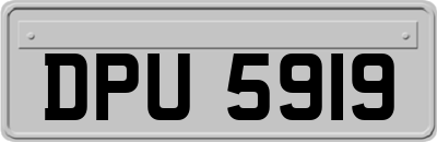 DPU5919