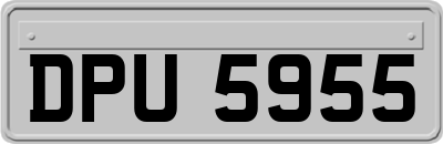 DPU5955