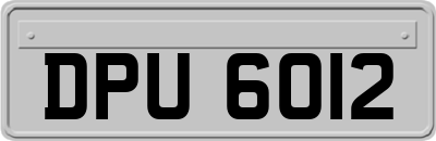 DPU6012