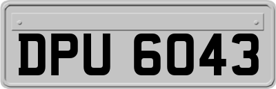 DPU6043