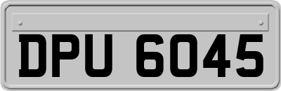 DPU6045
