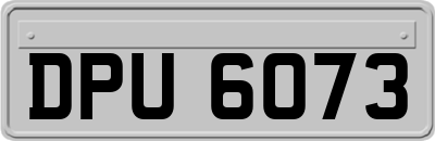 DPU6073
