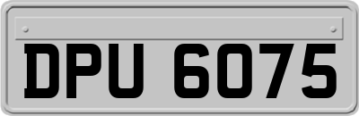 DPU6075