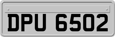 DPU6502