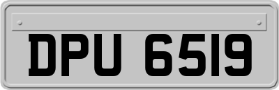 DPU6519