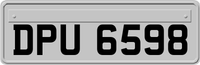DPU6598