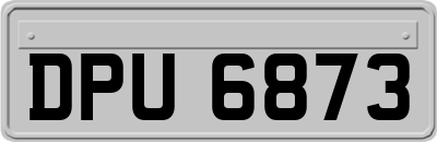 DPU6873