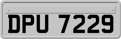 DPU7229