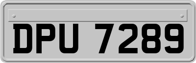 DPU7289