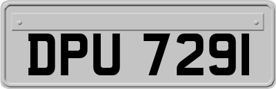 DPU7291