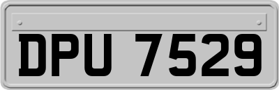 DPU7529