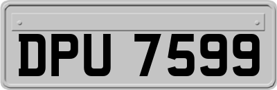 DPU7599