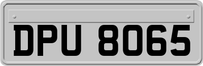 DPU8065