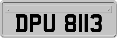 DPU8113