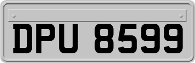 DPU8599