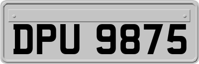 DPU9875