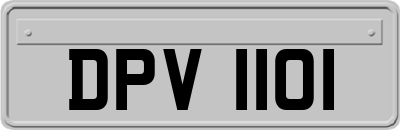 DPV1101