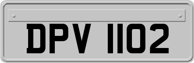 DPV1102