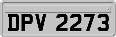 DPV2273