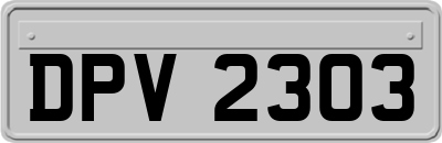 DPV2303