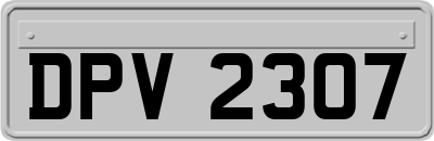 DPV2307