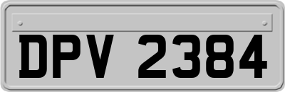 DPV2384