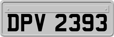 DPV2393