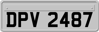 DPV2487