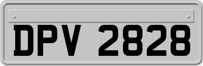 DPV2828