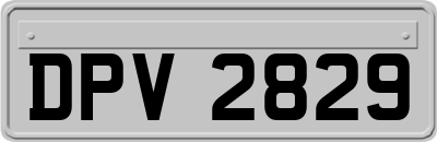 DPV2829