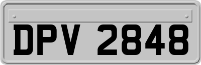 DPV2848