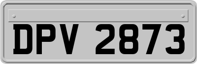 DPV2873