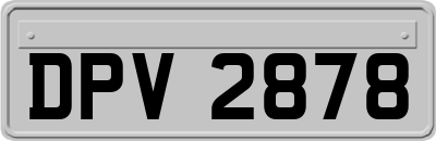 DPV2878
