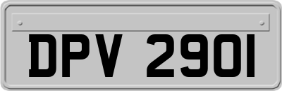 DPV2901