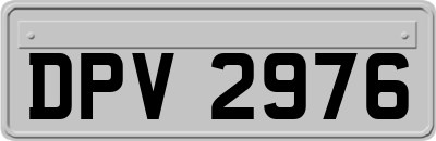 DPV2976
