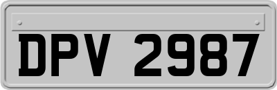 DPV2987