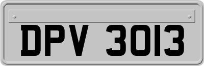 DPV3013