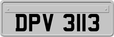 DPV3113