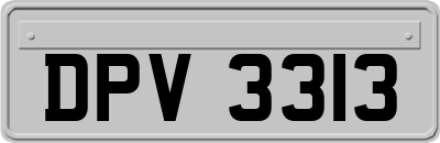 DPV3313
