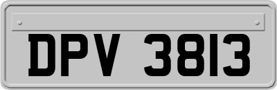 DPV3813
