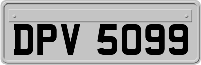 DPV5099