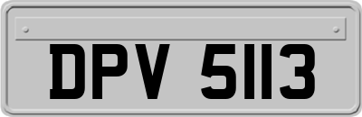 DPV5113