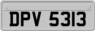 DPV5313