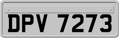 DPV7273