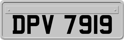 DPV7919