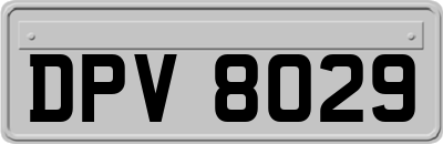 DPV8029