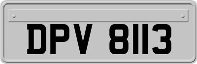 DPV8113