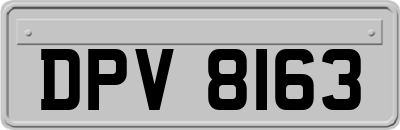 DPV8163