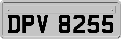DPV8255